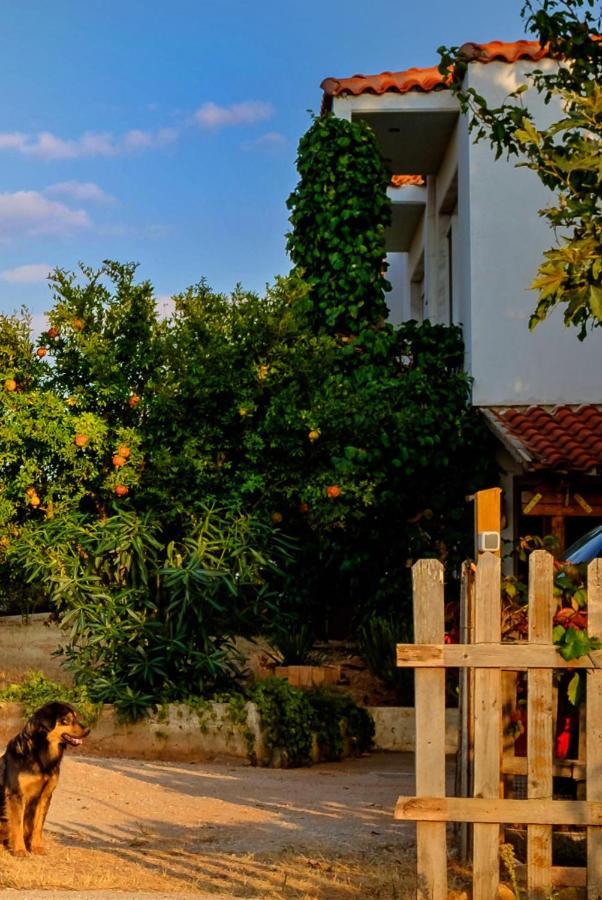 Vineyard Country House With Panoramic Seaview Alejandrópolis Exterior foto