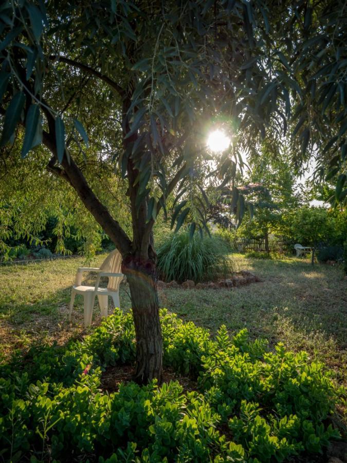 Vineyard Country House With Panoramic Seaview Alejandrópolis Exterior foto