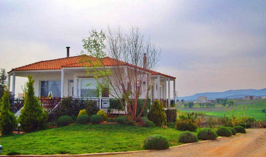 Vineyard Country House With Panoramic Seaview Alejandrópolis Exterior foto