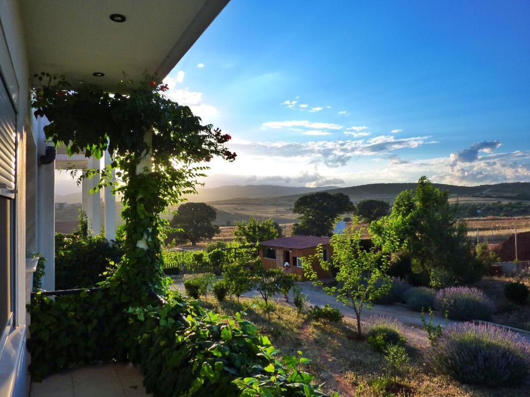 Vineyard Country House With Panoramic Seaview Alejandrópolis Exterior foto
